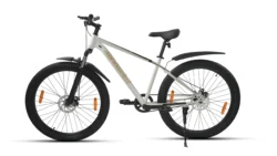 BLACKGOLD SINGLE SPEED - Image 4