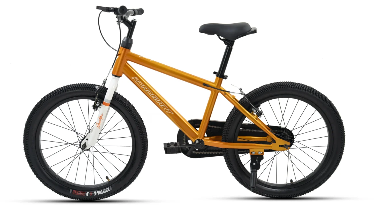 Buy multi speed cycle online | Home