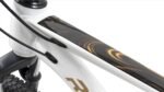 BLACKGOLD SINGLE SPEED - Image 6