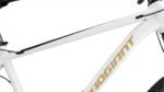 BLACKGOLD SINGLE SPEED - Image 5