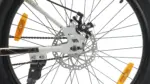 BLACKGOLD SINGLE SPEED - Image 8