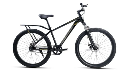 Roadgiant Gold Star single speed bicycle, black