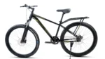 Roadgiant Gold Star single speed bicycle, black