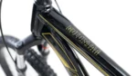 Roadgiant Gold Star single speed bicycle, black