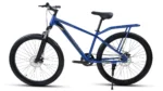 Roadgiant Gold Star single speed bicycle, blue