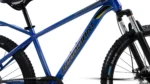 Roadgiant Gold Star single speed bicycle, blue